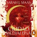 Cover of Casa de tierra y sangre (Ciudad Medialuna 1) by Sarah J. Maas