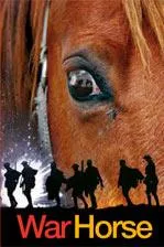 Cover of War Horse by Michael Morpurgo, Mercè Santaularia Campillo