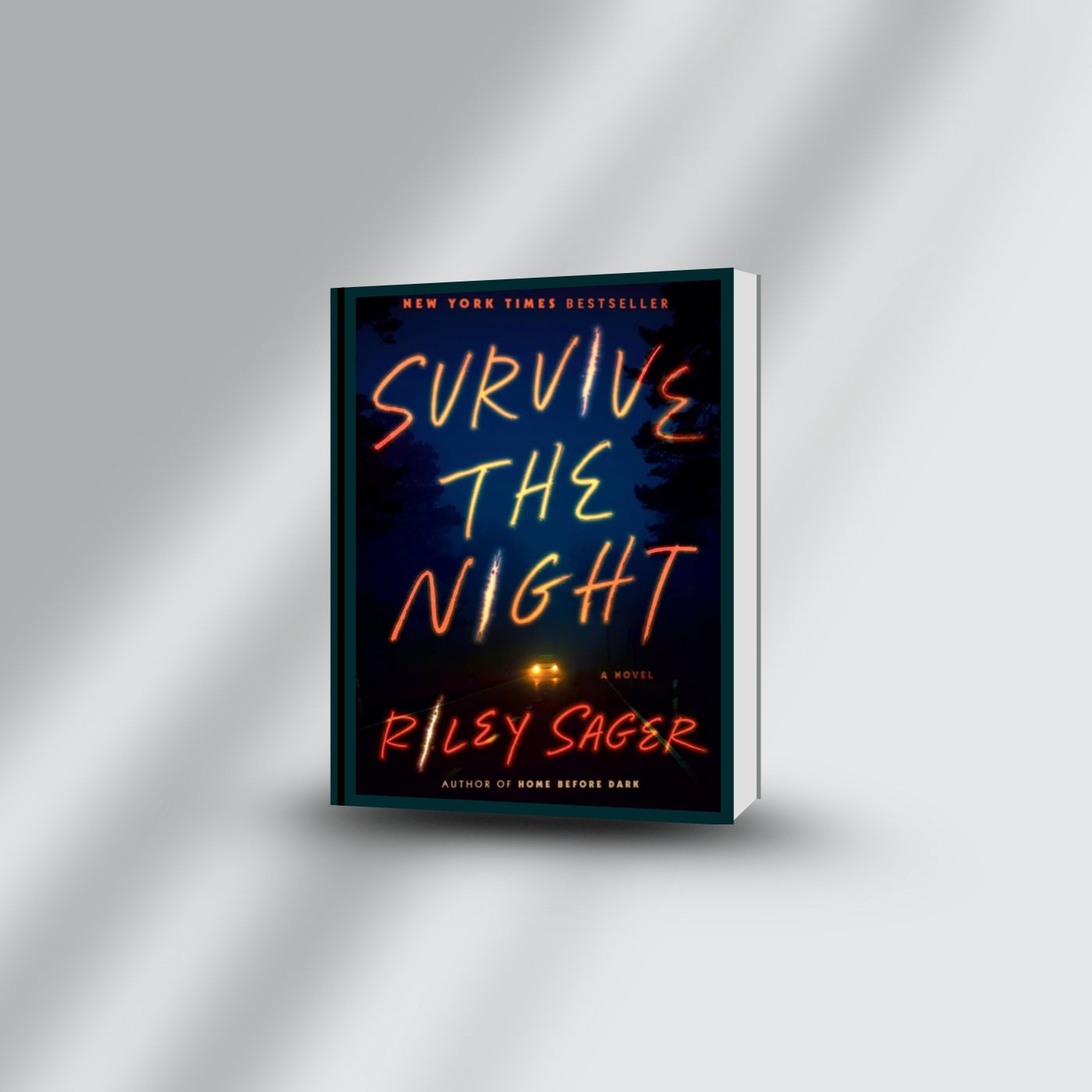 Survive The Night audiobook cover