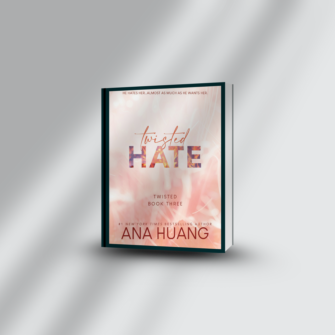 Twisted Hate audiobook cover
